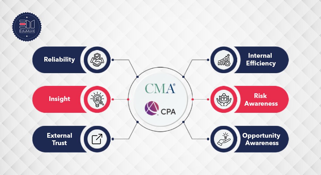 Why CPAs and CMAs Make a Powerful Combination for Businesses?
